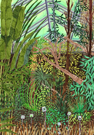 Giardino Botanico, 2017 da Charlotte Orr