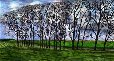 Cushendun, Irlanda del Nord, 2020 da Charlotte Orr