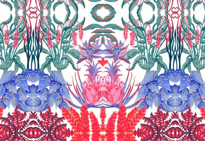 Jungle Jim, 2015 da Charlotte Orr