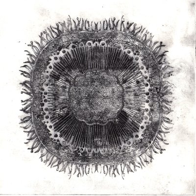 Cellule Vegetali, 2019 da Charlotte Orr