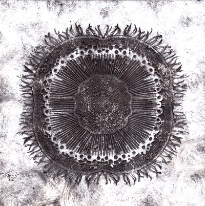 Cellule Vegetali, 2019 da Charlotte Orr
