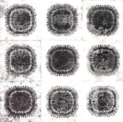 Cellule Vegetali, 2019 da Charlotte Orr