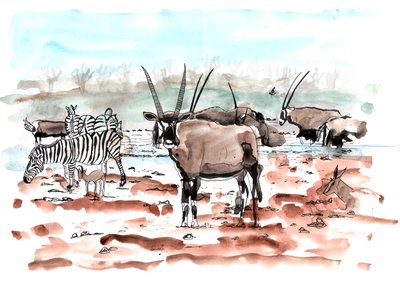 Safari, 2018 da Charlotte Orr