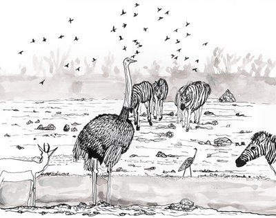 Safari 2, 2018 da Charlotte Orr