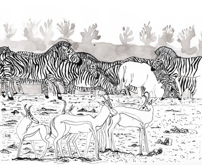 Safari 3, 2018 da Charlotte Orr