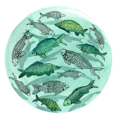 Pesce piccolo stagno grande, 2018 da Charlotte Orr