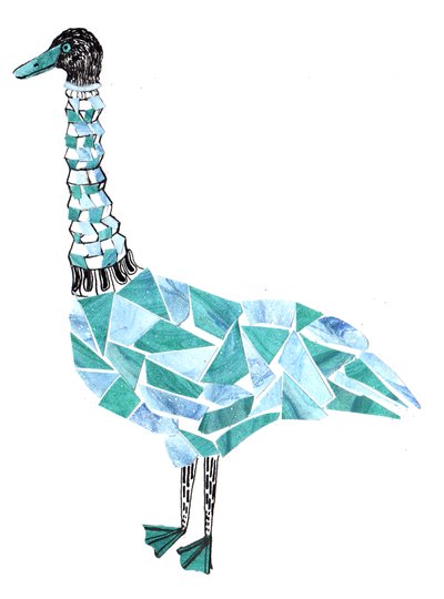 Cigno da Charlotte Orr