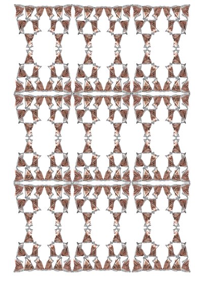 Design di confezioni di tè, 2018 da Charlotte Orr