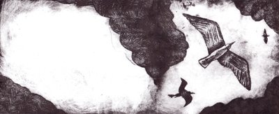 Il racconto del gabbiano da Charlotte Orr