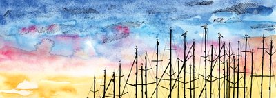 La storia del gabbiano da Charlotte Orr