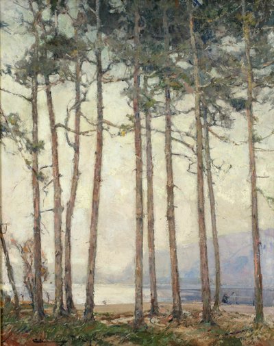Lago fantasma da Chauncey Foster Ryder