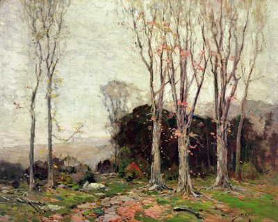 Il sentiero che scende dalle montagne da Chauncey Foster Ryder
