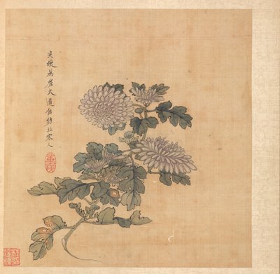 Dipinti dopo antichi maestri: Crisantemo da Chen Hongshou
