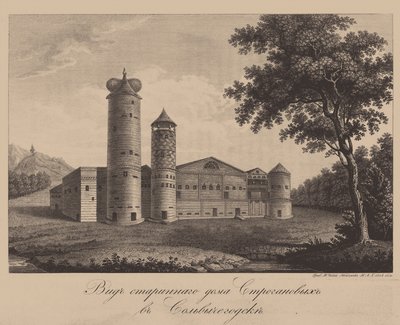 Vecchia casa della famiglia Stroganov a Solvychegodsk, 1842 da Chessky
