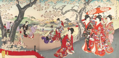 Album di donne del Castello di Chiyoda, 1895 da Chikanobu Yoshu