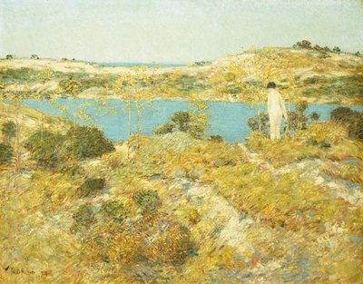 Piscina di Dune da Childe Frederick Hassam