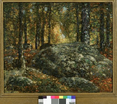 La Scatola dei Gioielli, Old Lyme da Childe Frederick Hassam