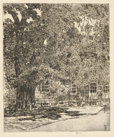 Olmo Gigante, 1929 da Childe Hassam