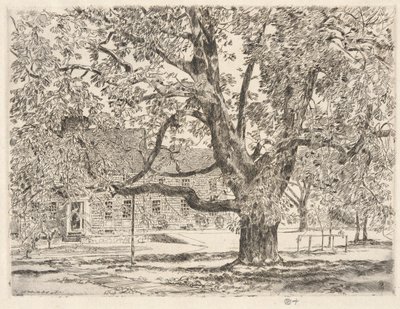Il grande ippocastano, Easthampton da Childe Hassam