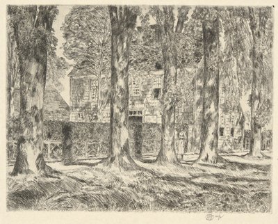 Olmi del villaggio, 1923 da Childe Hassam