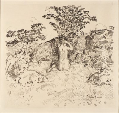 Ciliegio selvatico da Childe Hassam