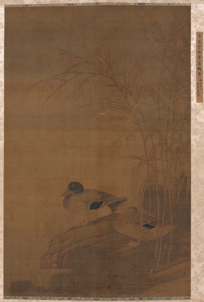 Anatre sotto le canne da China, Ming dynasty