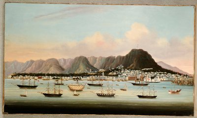 Veduta di Victoria, Hong Kong, con la Hulk H.M.S Princess Charlotte e Navi Americane, Britanniche e Francesi, c.1862 da Chinese School