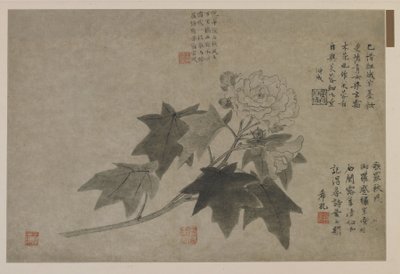 Un ramo di peonia legnosa, forse dinastia Qing da Chinese School
