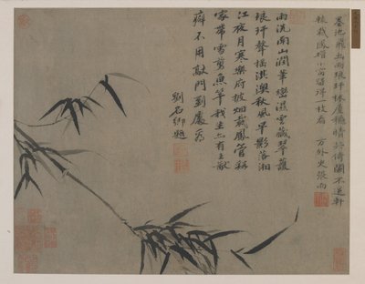 Un ramo di bambù, forse dinastia Qing da Chinese School