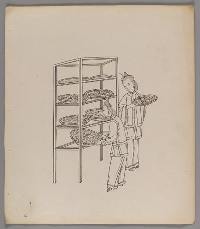 Album di fogli separati: Coltivazione e produzione della seta da Chinese School