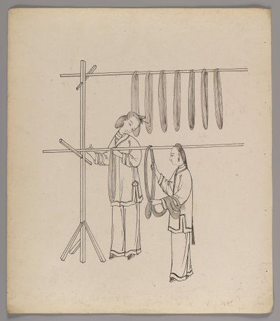 Album di fogli separati: Coltivazione e produzione della seta da Chinese School