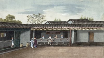 Essiccazione delle foglie di tè da Chinese School