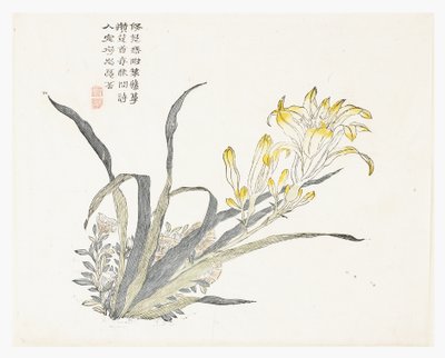 Giardino del Seme di Senape da Chinese School