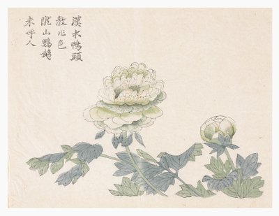 Giardino del seme di senape da Chinese School