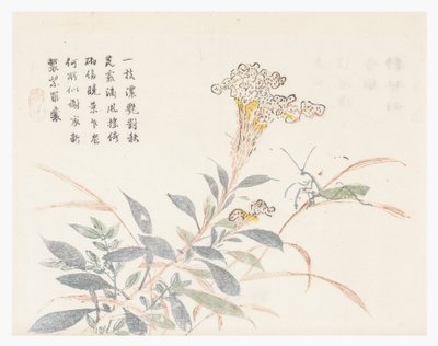 Giardino del seme di senape da Chinese School