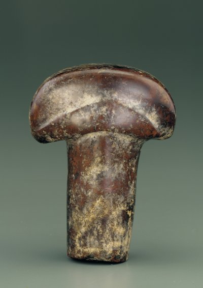 Oggetto a forma di asta ovale sormontata da un grosso pomello semicircolare (serpentina) da Chinese School
