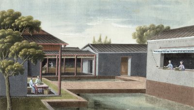 Smistamento del tè da Chinese School