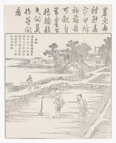 Semina del riso in un semenzaio, XVIII secolo da Chinese School