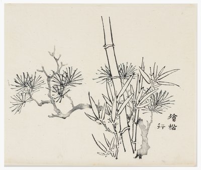 Serie dei Dieci Bambù, XVIII secolo da Chinese School
