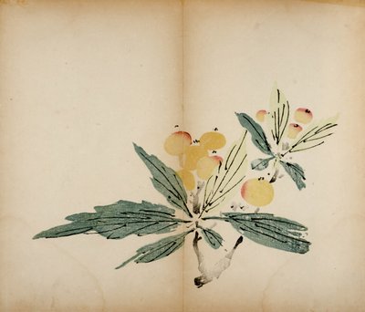 Stampe dello Studio dei Dieci Bambù, 1643 da Chinese School