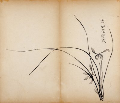 Stampe dello Studio dei Dieci Bambù, 1643 da Chinese School