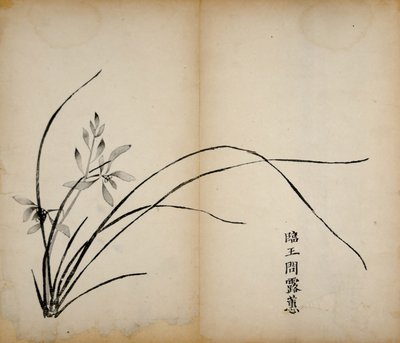 Stampe dello Studio dei Dieci Bambù, 1643 da Chinese School