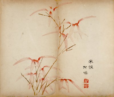 Stampe dello Studio dei Dieci Bambù, 1643 da Chinese School