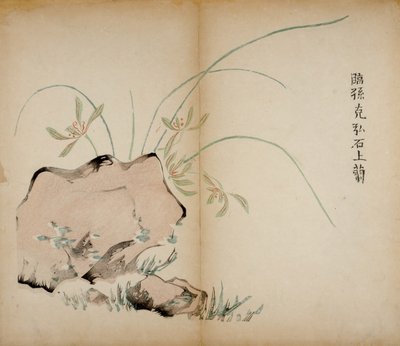 Stampe dello Studio dei Dieci Bambù, 1643 da Chinese School