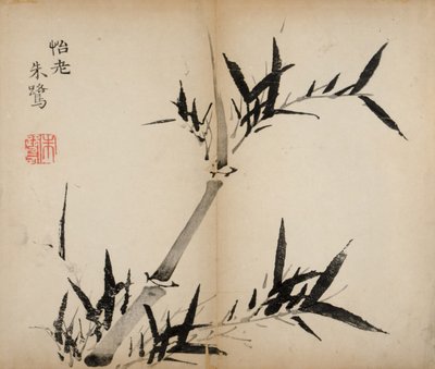 Stampe dello Studio dei Dieci Bambù, 1643 da Chinese School