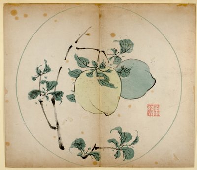 Stampe dello Studio dei Dieci Bambù, 1643 da Chinese School
