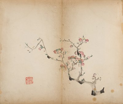 Stampe dello Studio dei Dieci Bambù, 1643 da Chinese School
