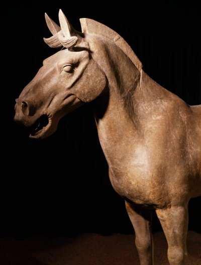 Cavallo dell
