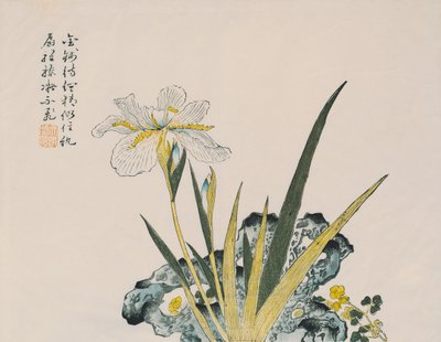 Il giardino grande come un granello di senape, XVII-XVIII secolo da Chinese School