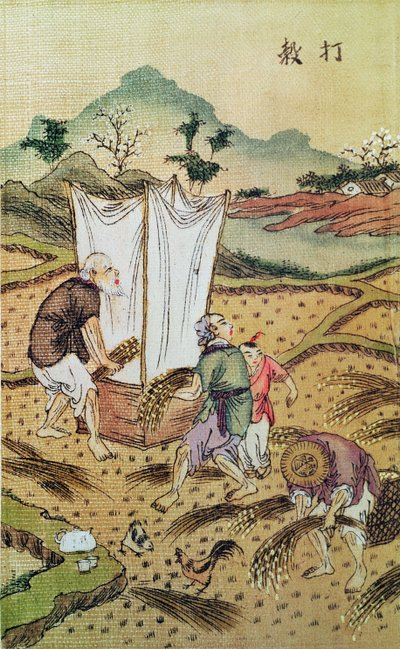 La storia del riso da Chinese School